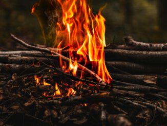 Bottrop legt Regeln für Osterfeuer fest: Sicherheit und Tierschutz im Mittelpunkt