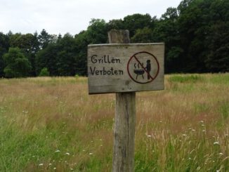 Hitze und Trockenheit erhöhen Risiko: Grillen in Parks verboten und wird kontrolliert
