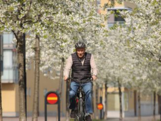 Köln bietet kostenlose Auffrischungskurse für Radfahrende ab 65 Jahren