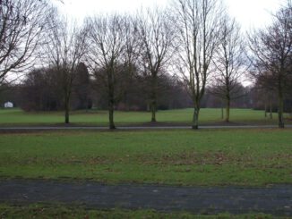 Kostenfreie Naturexkursionen im Biegerpark richten sich an Familien