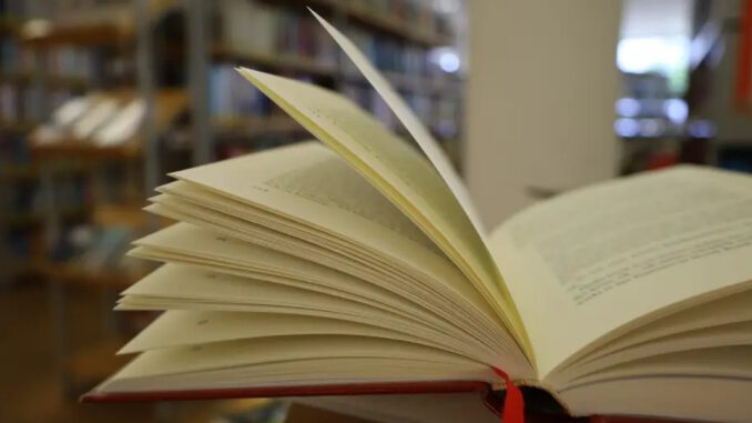 Lesung in der Stadtbücherei: Wie Sprachmaschinen Begriffe wie Denken und Kreativität infrage stellen Lesung in der Stadtbücherei: Wie Sprachmaschinen Begriffe wie Denken und Kreativität infrage stellen