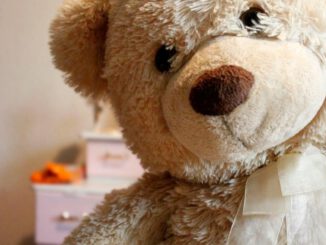 Mülheimer Gesundheitsamt verkauft Plüschbären und bietet kostenlose HIV und STI Tests zum Welt AIDS Tag an