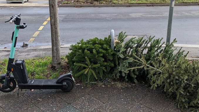 Recklinghausen startet öffentliche Weihnachtsbaumsammlung am 12. Januar Recklinghausen startet öffentliche Weihnachtsbaumsammlung am 12. Januar