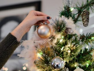 Weihnachtsbaumverkauf in Duisburg: Erlös kommt Menschen ohne festen Wohnsitz zugute