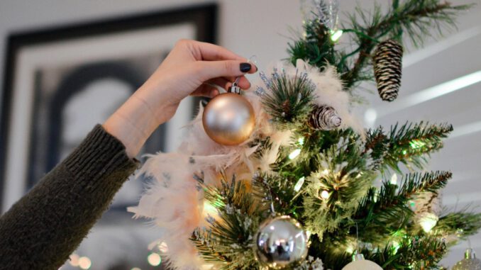 Weihnachtsbaumverkauf in Duisburg: Erlös kommt Menschen ohne festen Wohnsitz zugute